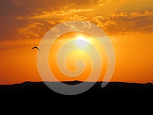 Background of silhouetted grass with sky orange at sunset on Habonim Israel