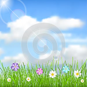 Background with sky, sun, clouds, grass and flowers