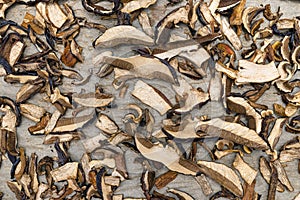 Background of sliced and dried edible mushrooms, lying on baking paper, top view.