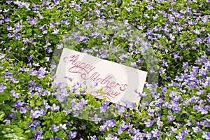 Background of small blue flowers with leaves and a card with han