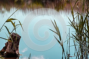 Background of a small lake, calm water with a stump
