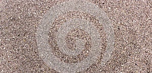 Background of small pinkish shells, texture for design