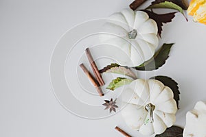 Background of small white and yellow pumpkins on the table