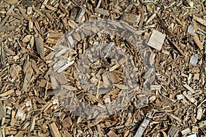 Background of small wood chips top view