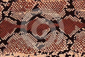 Background snakeskin drawing