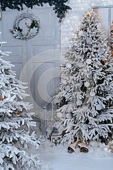 Background of snow-covered fir trees. Studio decor.
