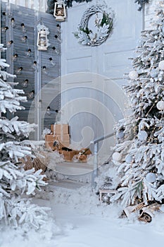 Background of snow-covered fir trees. Studio decor.