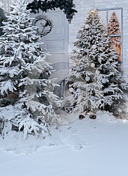 Background of snow-covered fir trees. Studio decor.