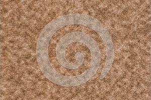 Background of solid wood.