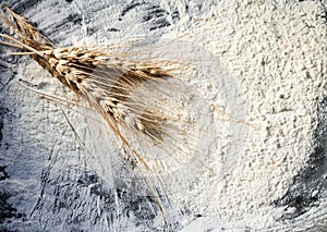 Background from the spilled flour and wheat ears on a baking tray