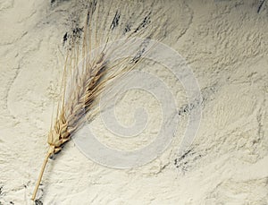 Background from the spilled flour and wheat ears on a baking tray