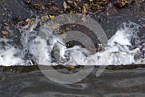 Background of splashing water