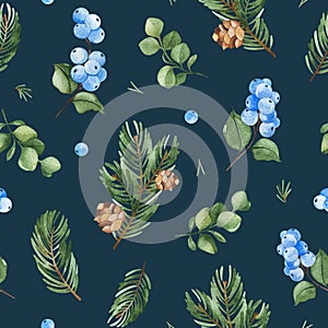 Background with spruce branch, pinecone, berries, eucalyptus leaves, snowberry.