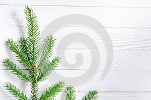 Background with spruce branches on white boards. Winter. New Year`s Eve. Christmas