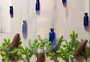 background of spruce cones, leaves and buds for essential oils