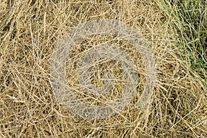 Background of a stack of dry hay from a variety of grasses