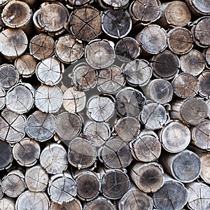 Background of stacked timber logs