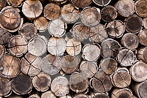 Background of stacked timber logs