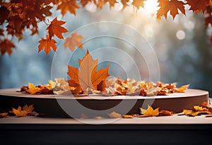 background stage spring splay maple leaf podium product autumn poduim abstract autumn background banner business colours colourful