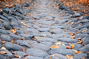 Background stone cobbles path with fallen autumn leaves. Canal for water drainage in the Park