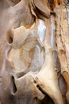 Background of stone natural shapes