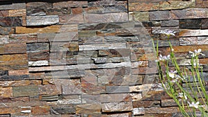 Background of stone wall texture. Stone wall texture. Stone wall background