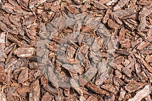 Background of the stones and bark