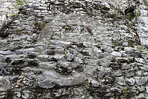 The background with stones. Stone wall background. Old wall with natural stones and a green plants which is growing up on it