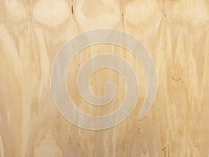 Background of striated light brown  plywood board