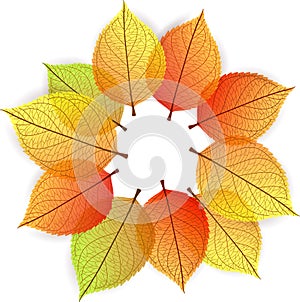 Background with stylize autumn leaves