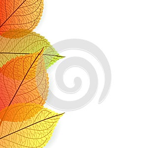 Background with stylize autumn leaves photo