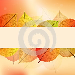 Background with stylize autumn leaves photo