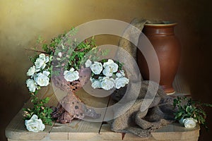Background of summer flowers.Beautiful wild roses in a vase.White roses in a still life ..Flowers.Nature