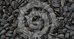 Background of sunflower seeds.