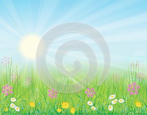Background with sunny meadow