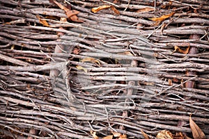 Background of surface of a basket made with sticks
