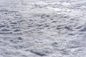 Background - the surface of the mountain firn or the melted spring snow