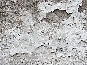 Background, surface texture. a layer of white peeling paint on rough gray concrete, cement, plastered wall.