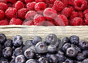 Background of raspberry and blueberry in packing containers, cardboard boxes with berries, red and blue fruit in package