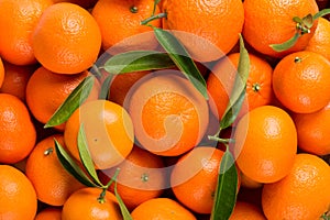 Background of tangerine fruits.