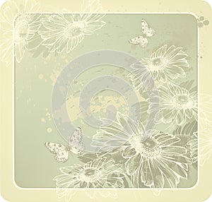 Background template with blooming daisies and