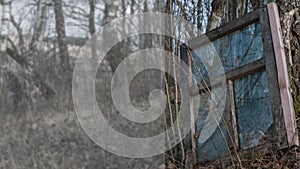 Background for text in blur. Old window in a gloomy forest. Abstract composition and texture