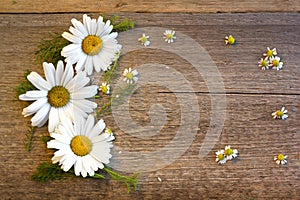 Craft paper on a wooden background with large and small daisies