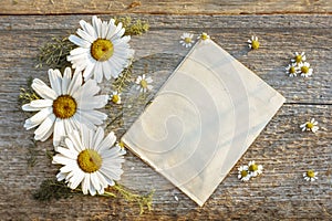 Craft paper on a wooden background with large and small daisies