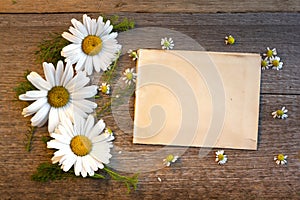 Craft paper on a wooden background with large and small daisies