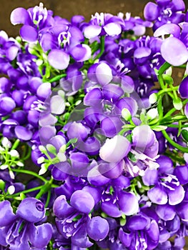 Background and texture of artificial flowers