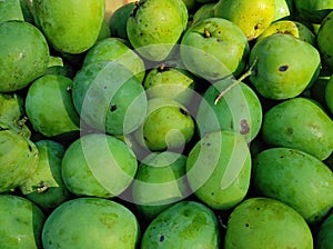 Background texture a bunch of green mango