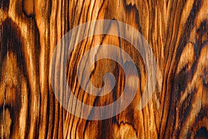 Background texture from burned brown pine wood