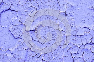 Background texture colored purple wall in the old cracked paint
