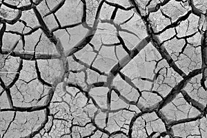 Background texture of cracked earth